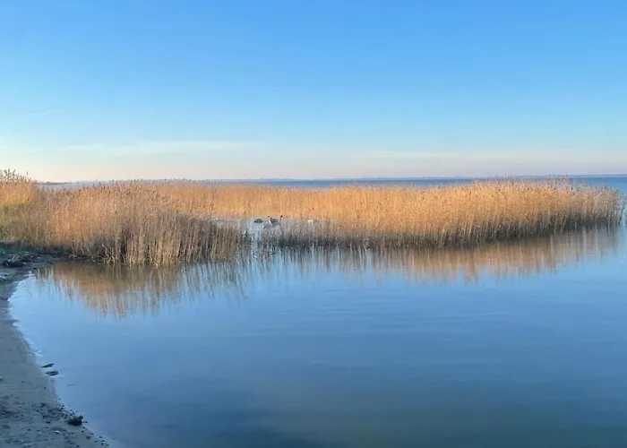 Am Saaler Bodden Saal